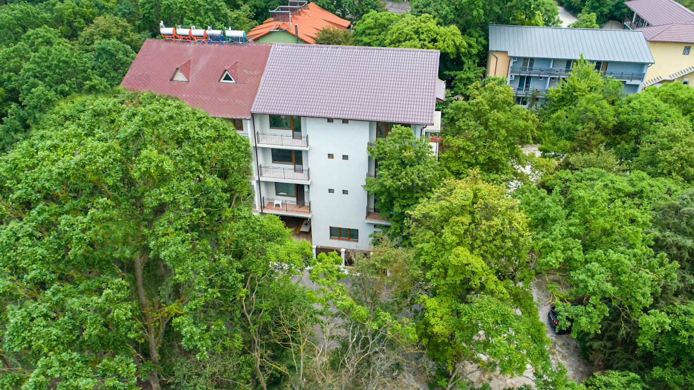 Liniște la Casa Eden